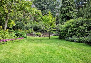 Optimiser l'expérience du jardin à Chateauneuf-du-Rhone